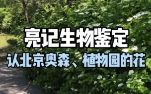 【亮记生物鉴定】认认北京奥森、植物园的花