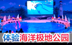 宜昌夫妻陪宝宝去海洋公园，没想到宝宝都玩不了，成了爸爸的专场