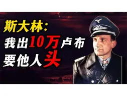 他是苏联人民的公敌，二战的最强兵王，鲁德尔，斯大林悬赏10万要他人头