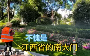 江西赣州市的路比山东都宽，共享电车很多出行方便，绿化很漂亮