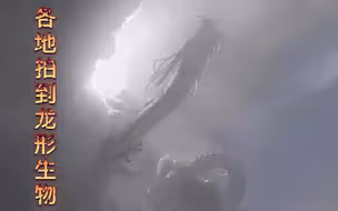 中国龙频繁的出现，被各地拍到，是真实的吗？