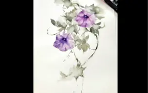 【水彩】牵牛花