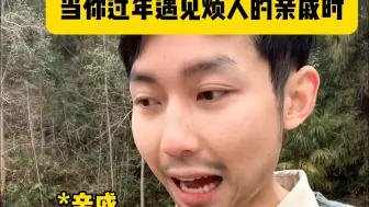 当你过年遇到烦人的亲戚