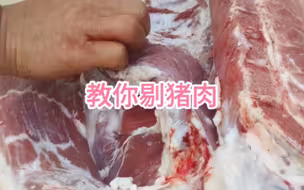 教你详细分割猪肉
