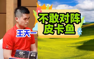 一听说最高级是皮卡鱼，王天一吓得自动降到次高级