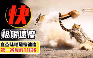 盘点5个速度最快的陆地生物，猎豹只能排第4，第一名每秒116米