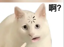 猫：听我说谢谢你！