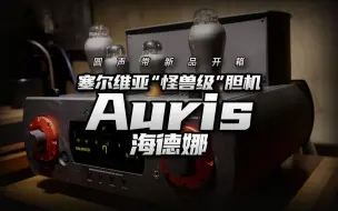 圆声带开箱｜塞尔维亚“怪兽级”胆机——Auris海德娜