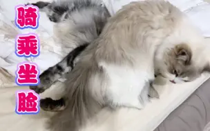 【Caesar&Loki的野爹】小猪发动了骑乘坐脸大招！