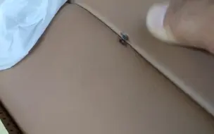 汽车座椅烟头烫伤修复过程，分享给大家！