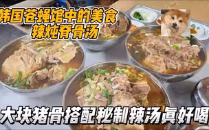 韩国9000韩元的脊骨汤，大块脊骨搭配辣汤炖煮，做法简单但却好喝