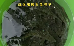 这溪石斑钓的真是舒服