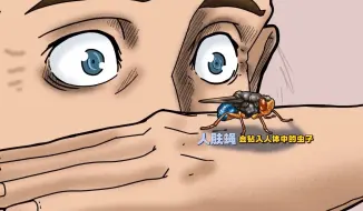 钻进人体血肉的虫子，毛骨悚然的孕育过程，究竟是如何发生的？