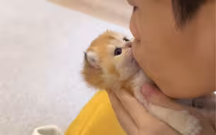 小猫咪第一次洗澡！