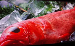 奥图码UHZ716投影仪依然性价比之王