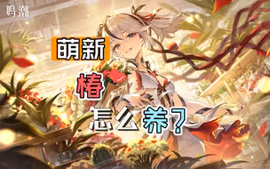 椿怎么养？（萌新攻略版）
