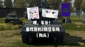 喜欢我豹2防空车吗（狗头）