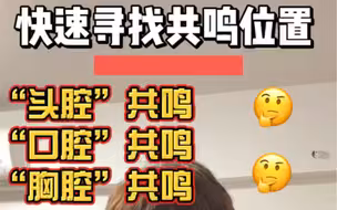 简单找一下所谓的共鸣腔体