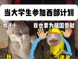 当你参加大学生西部计划