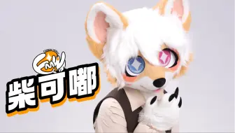 Fishmanwokrs｜委托展示·侦探小狗柴可嘟