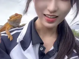 果冻