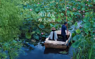 何以消夏，唯有闲情