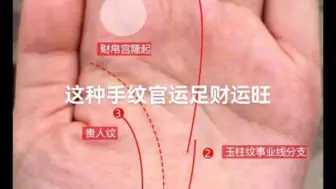 这种手纹官运足