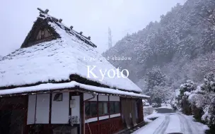 【4K】京都美山—天仙碧玉琼瑶  点点扬花 片片鹅毛