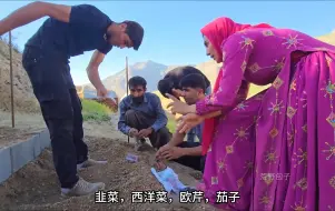 小梅尔又被蜜蜂蜇伤了 建造菜园 #游牧民族