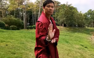 少林心意把：顺势把（拦手掌）
