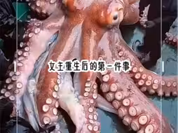 女主重生后的第一件事，就是假惺惺的将空间玉镯让给我，因为她知道末世……