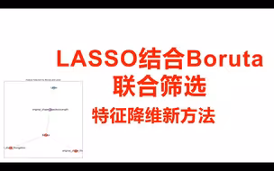 最好的特征降维-lasso结合boruta特征筛选