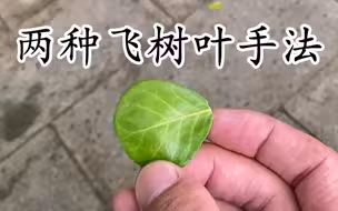 古代摘叶飞花手法慢动作