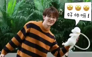 【戴景耀】眼镜戴超帅气的！羡慕戴戴手中的小狗！