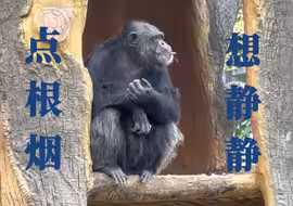 这个动物园里全是脑子有大病的动物