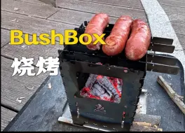 用折叠柴火炉(BushBox)烤虾、烤肠、烤面包片