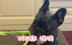 毫无悔意 甚至想和我练练