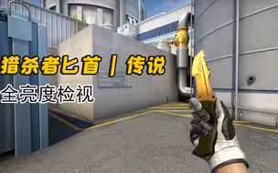 【CSGO】猎杀者匕首 | 传说 全亮度游戏中检视，传说家族新成员