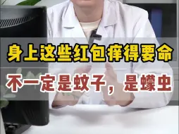 这个红包不一定是蚊子，可能是蠓虫！
