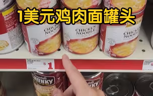 至少不是工业垃圾！一美元鸡肉面罐头是啥样？
