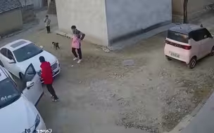 这年头瞎子都能开车？？？