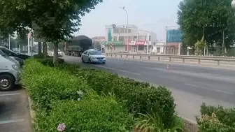 抓拍部分车系合集（113）
