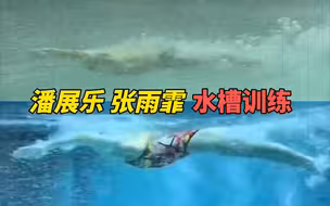 潘展乐&张雨霏‘泳池共舞’，流畅宛若水中精灵！O