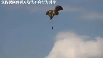超低空跳伞最怕出现这种情況，根本没时间处置！