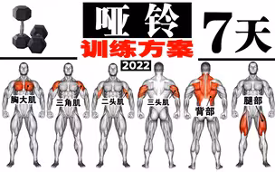 全身哑铃7天训练方案，适合所有人，家庭训练必备