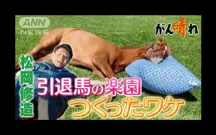 【赛马】松冈修造与常识外的牧场，引退马们的度假胜地凡尔赛「松岡修造のみんながん晴れ 2023年7月2日」