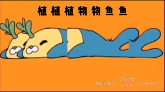 【海底小纵队手书】萨卡萨卡班班植物鱼