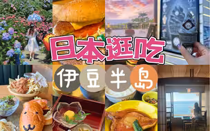 日本｜一人独行伊豆半岛有多快乐？面朝大海泡温泉/30万株绣球花海/金目鲷的n种吃法/狂rua呆萌水豚/神秘的海上鸟居
