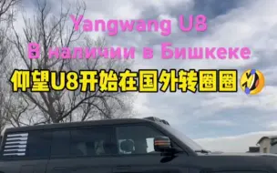仰望u8开始在国外转圈圈