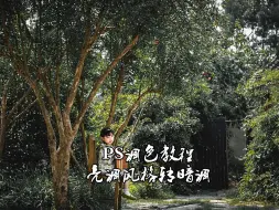 PS调出有质感的暗调风格照片